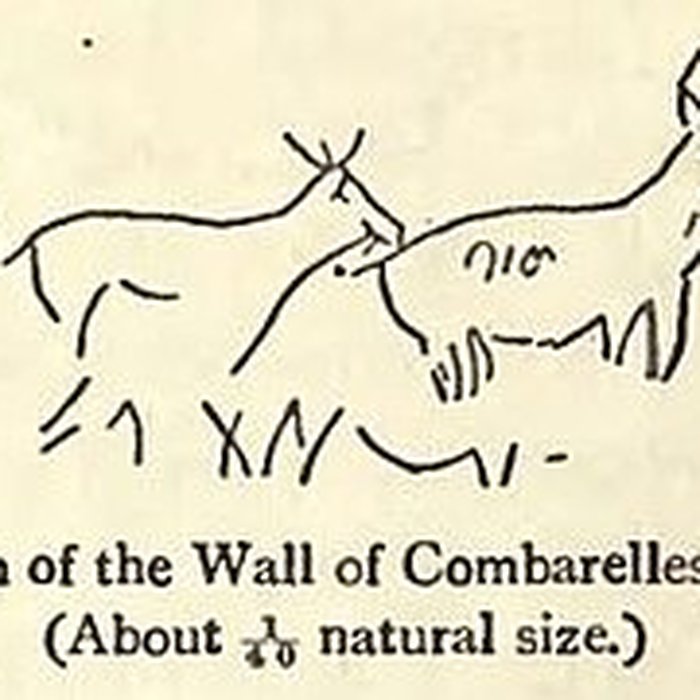 Photo de Grotte des Combarelles aux Eyzies-de-Tayac-Sireuil