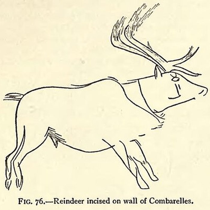 Photo de Grotte des Combarelles aux Eyzies-de-Tayac-Sireuil