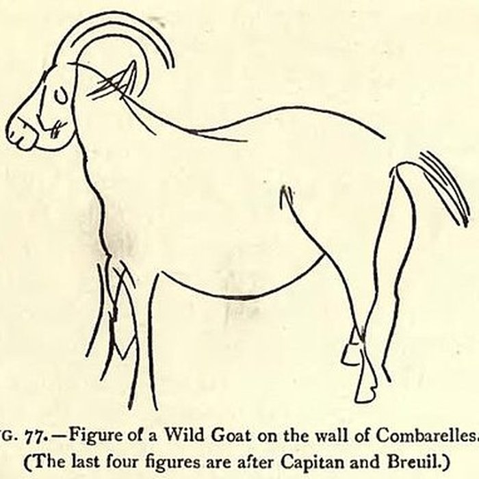 Photo de Grotte des Combarelles aux Eyzies-de-Tayac-Sireuil