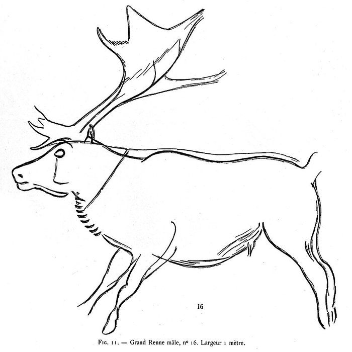 Photo de Grotte des Combarelles aux Eyzies-de-Tayac-Sireuil