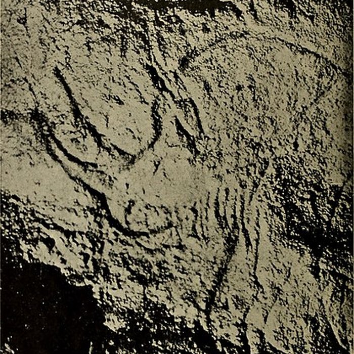 Photo de Grotte des Combarelles aux Eyzies-de-Tayac-Sireuil