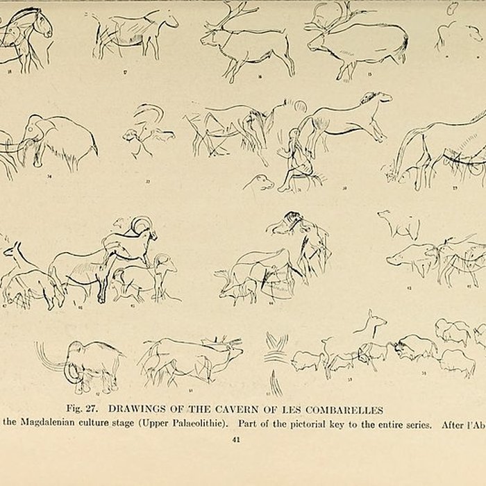 Photo de Grotte des Combarelles aux Eyzies-de-Tayac-Sireuil