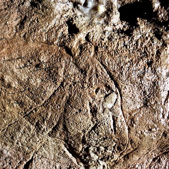 Photo de Grotte des Combarelles aux Eyzies-de-Tayac-Sireuil