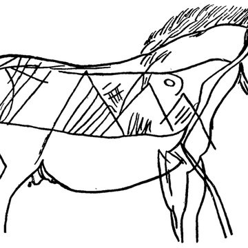 Grotte des Combarelles aux Eyzies-de-Tayac-Sireuil