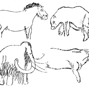 Grotte des Combarelles aux Eyzies-de-Tayac-Sireuil