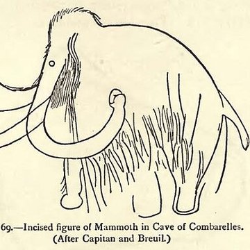 Grotte des Combarelles aux Eyzies-de-Tayac-Sireuil