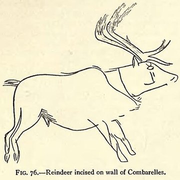 Grotte des Combarelles aux Eyzies-de-Tayac-Sireuil