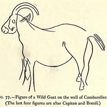 Grotte des Combarelles aux Eyzies-de-Tayac-Sireuil