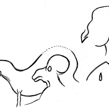 Grotte des Combarelles aux Eyzies-de-Tayac-Sireuil