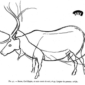 Grotte des Combarelles aux Eyzies-de-Tayac-Sireuil