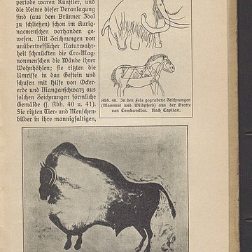 Grotte des Combarelles aux Eyzies-de-Tayac-Sireuil