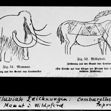 Grotte des Combarelles aux Eyzies-de-Tayac-Sireuil