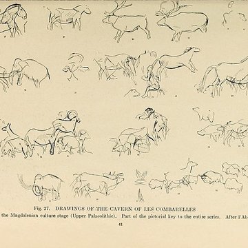 Grotte des Combarelles aux Eyzies-de-Tayac-Sireuil