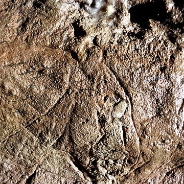 Grotte des Combarelles aux Eyzies-de-Tayac-Sireuil