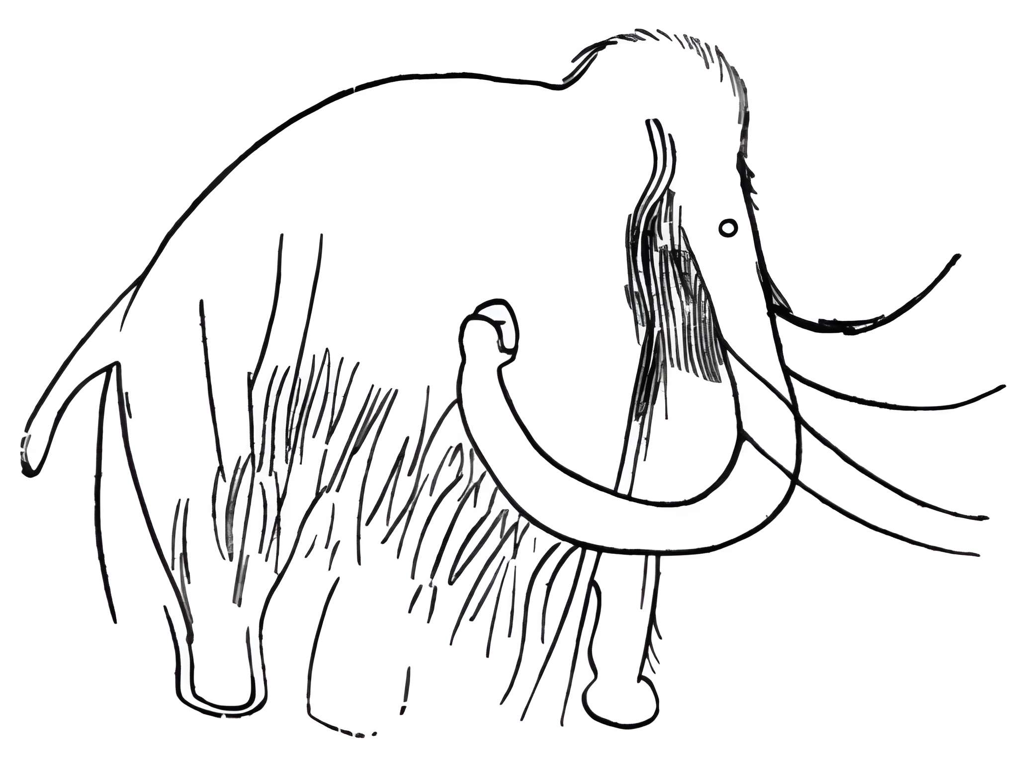 Grotte des Combarelles aux Eyzies-de-Tayac-Sireuil