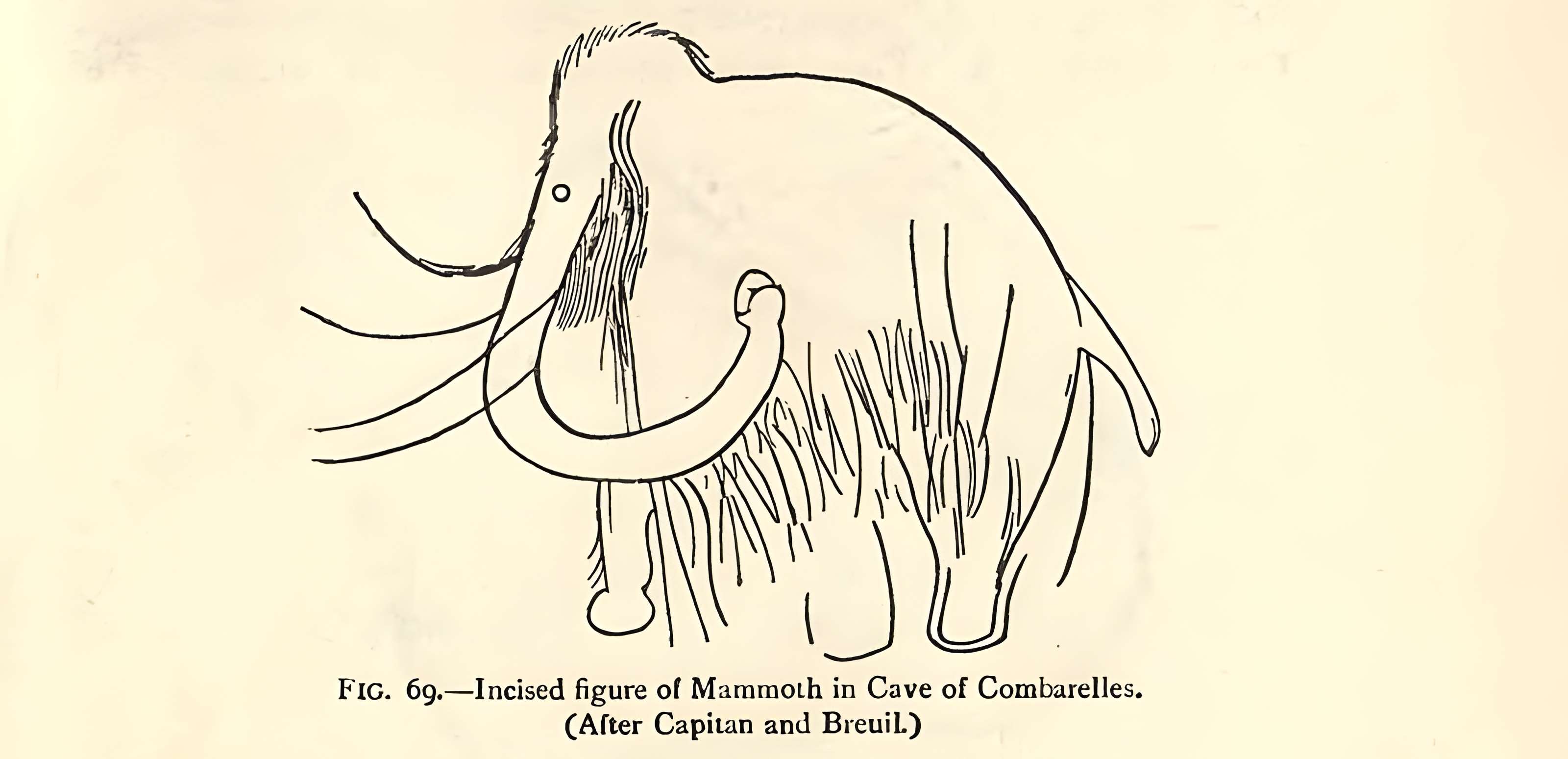 Grotte des Combarelles aux Eyzies-de-Tayac-Sireuil