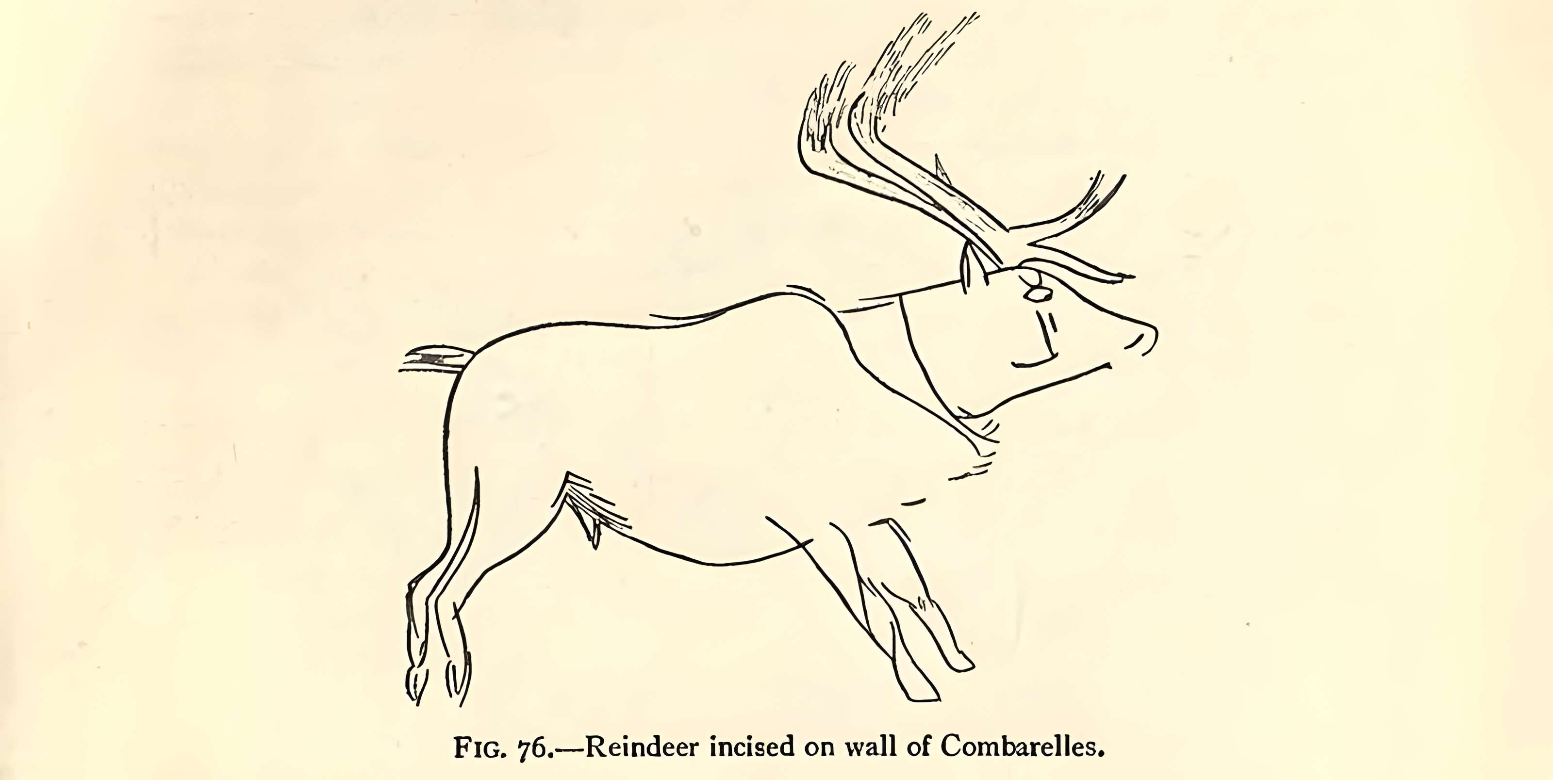 Grotte des Combarelles aux Eyzies-de-Tayac-Sireuil