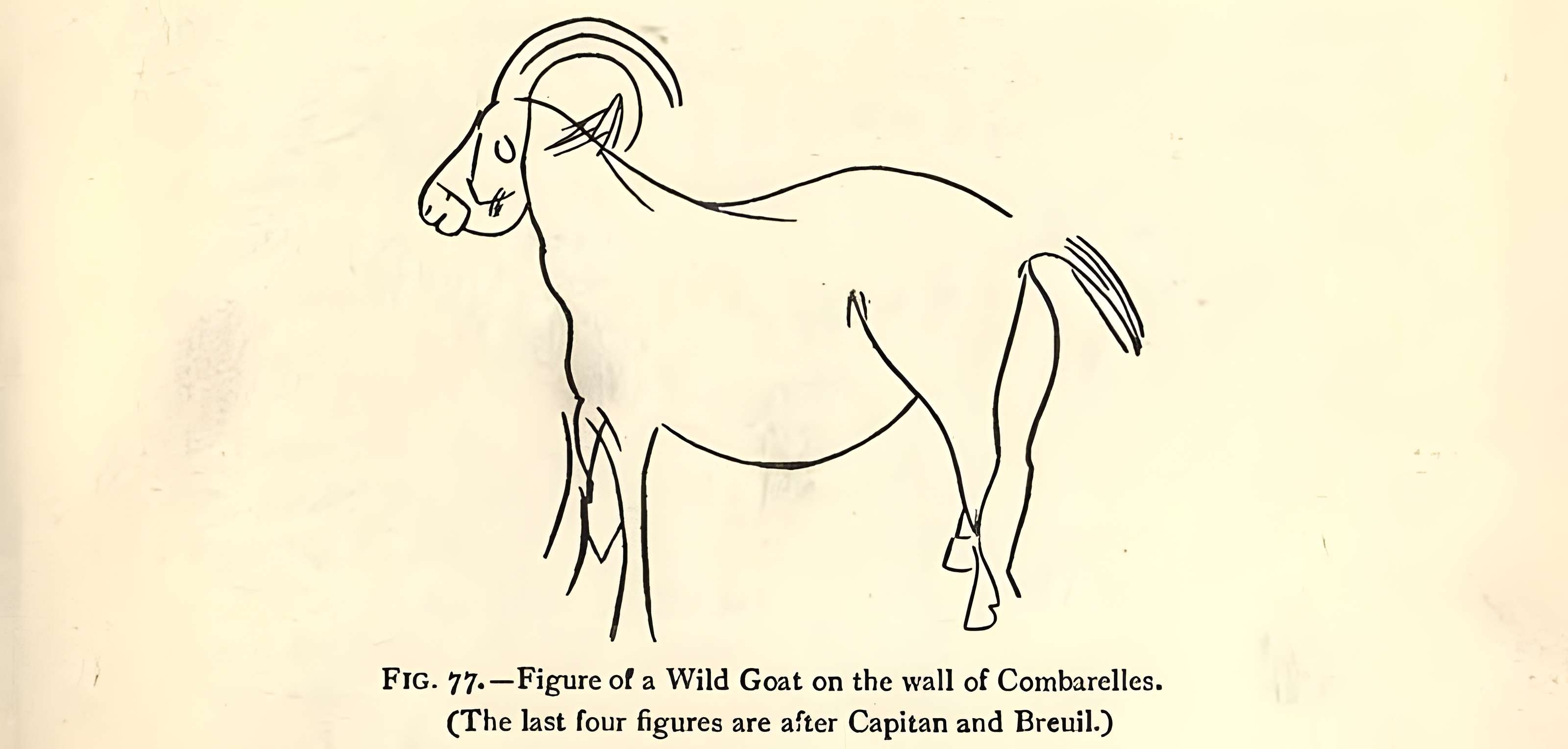 Grotte des Combarelles aux Eyzies-de-Tayac-Sireuil