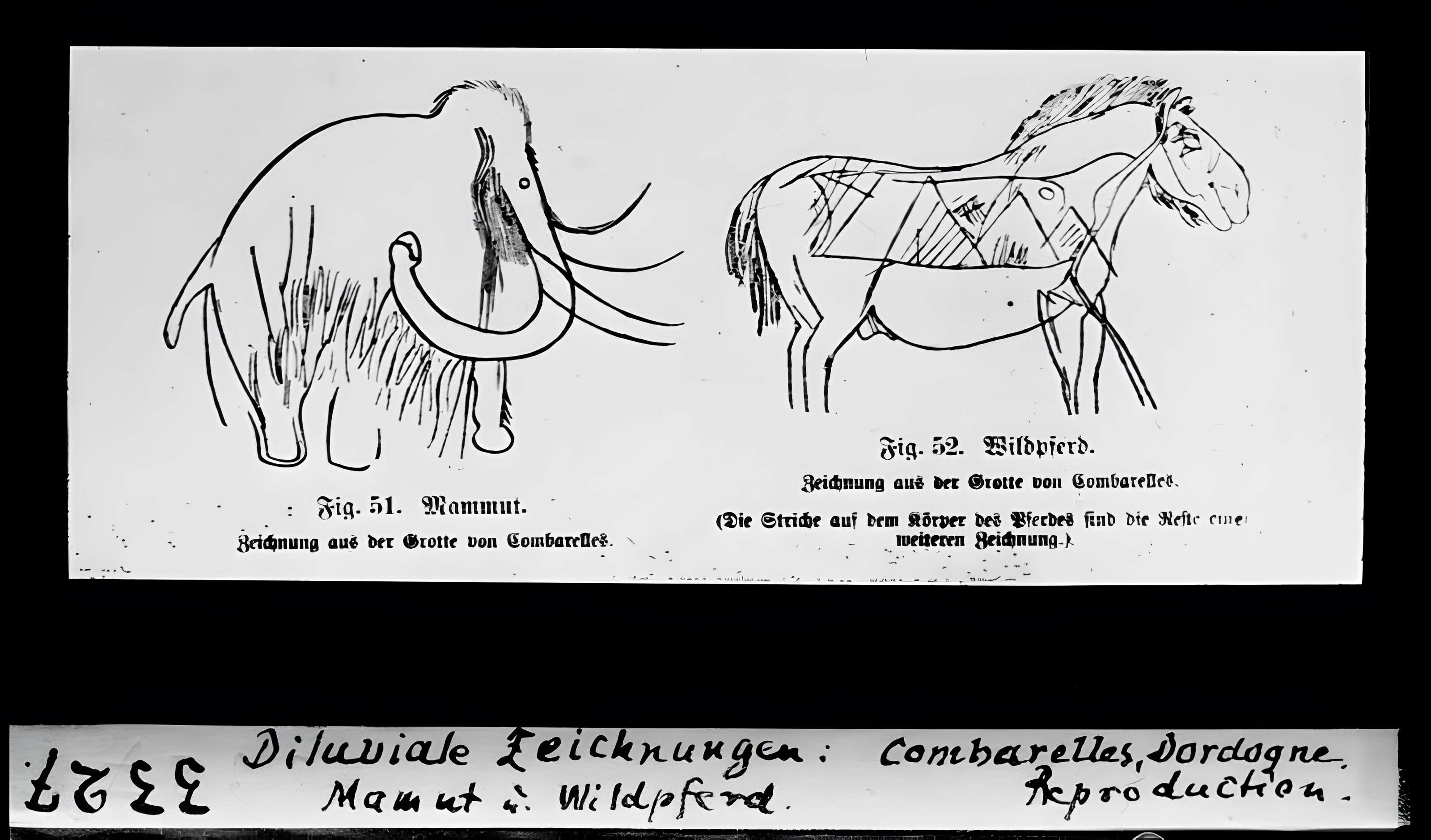 Grotte des Combarelles aux Eyzies-de-Tayac-Sireuil