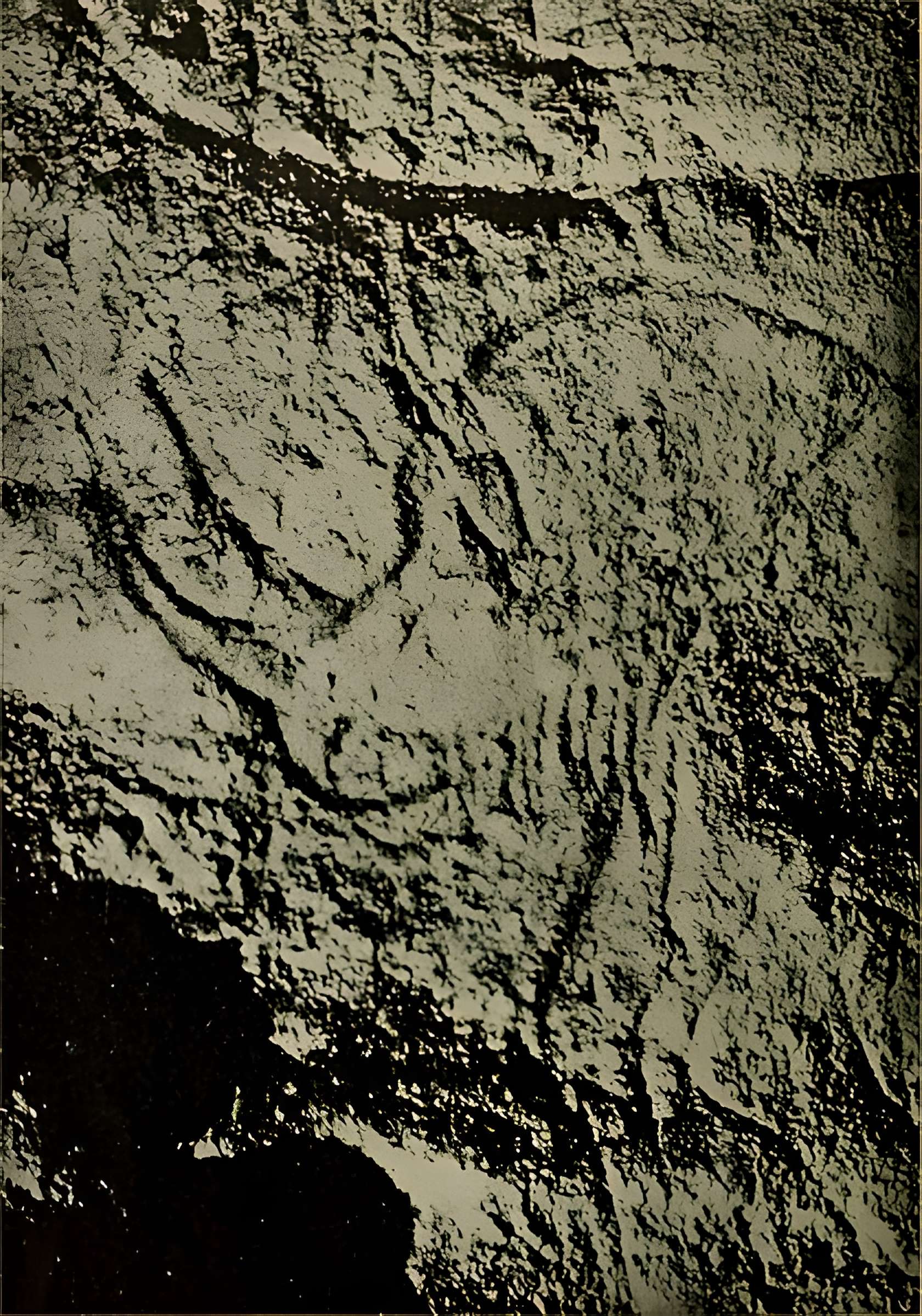 Grotte des Combarelles aux Eyzies-de-Tayac-Sireuil