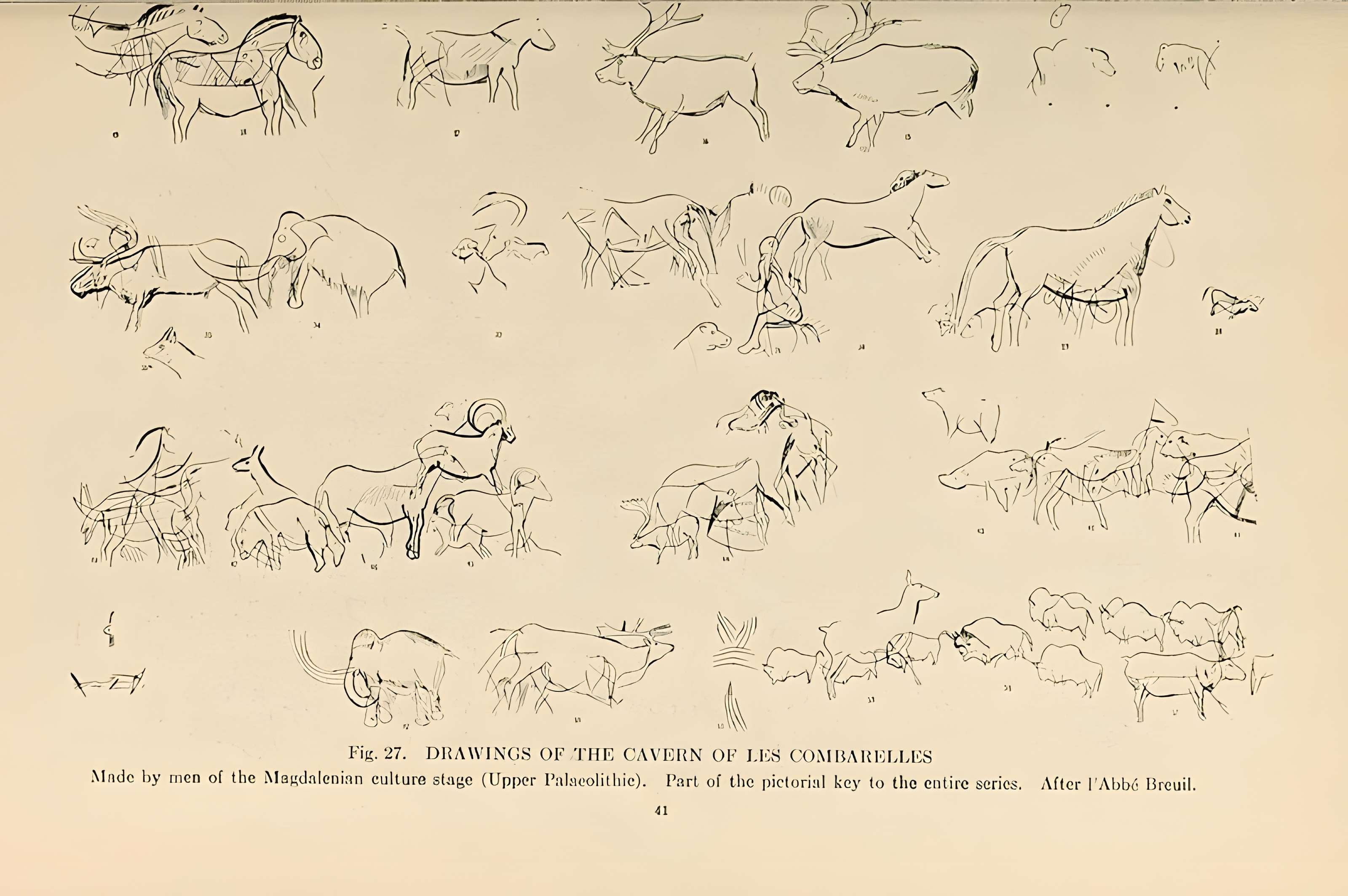 Grotte des Combarelles aux Eyzies-de-Tayac-Sireuil