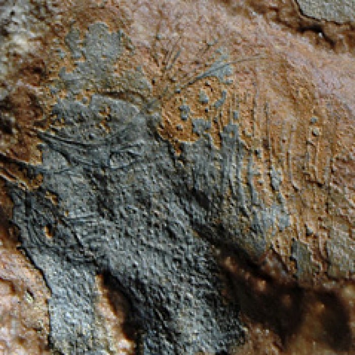 Photo de Grotte dite Cave à Margot à Thorigné-en-Charnie