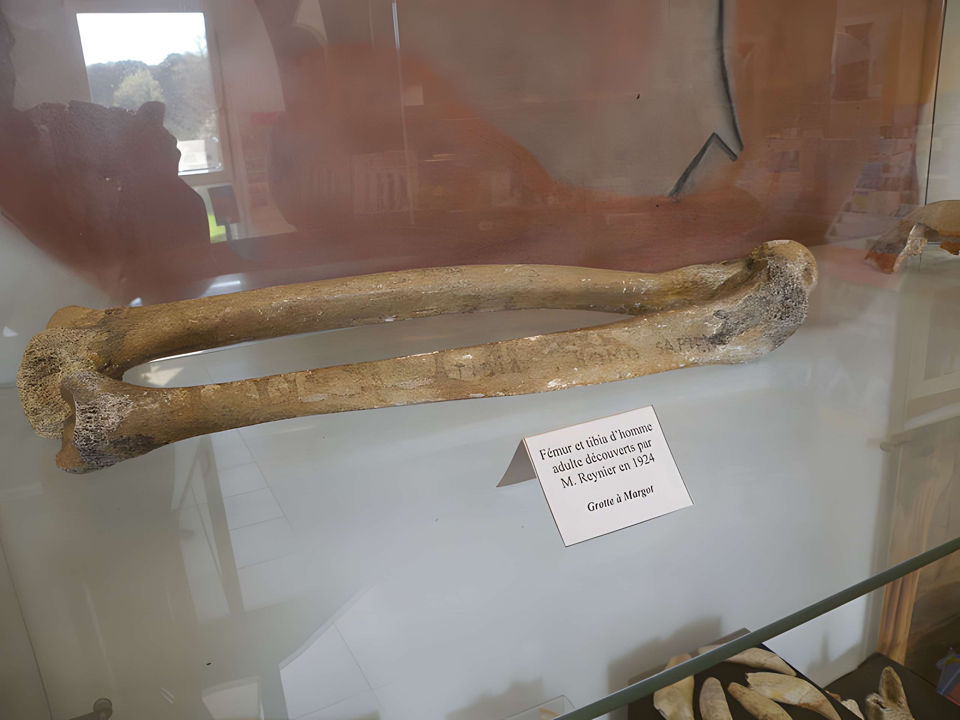 Grotte dite Cave à Margot à Thorigné-en-Charnie