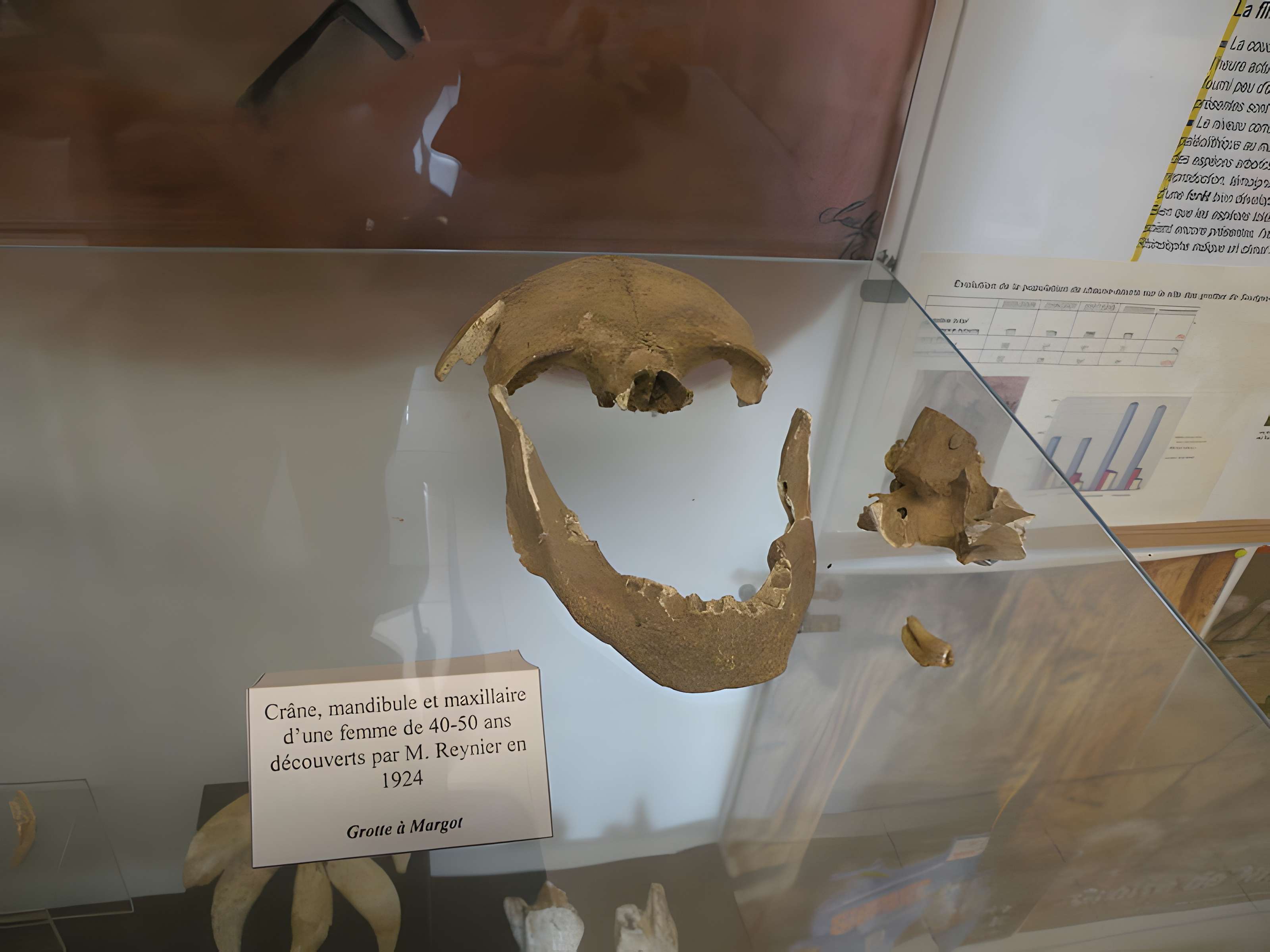 Grotte dite Cave à Margot à Thorigné-en-Charnie