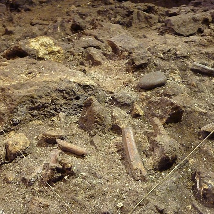 Photo de Grotte du Lazaret de Nice