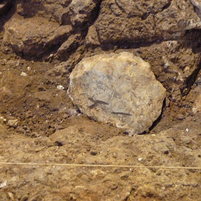 Photo de Grotte du Lazaret de Nice