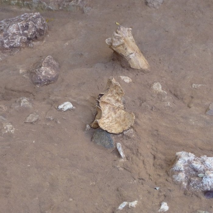 Photo de Grotte du Lazaret de Nice