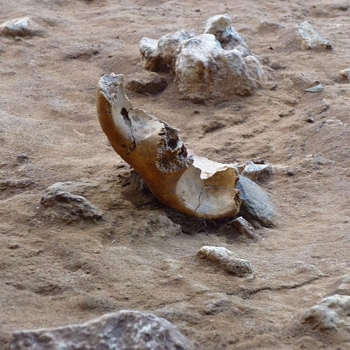 Photo de Grotte du Lazaret de Nice