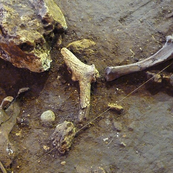 Photo de Grotte du Lazaret de Nice