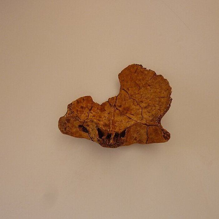 Photo de Grotte du Lazaret de Nice