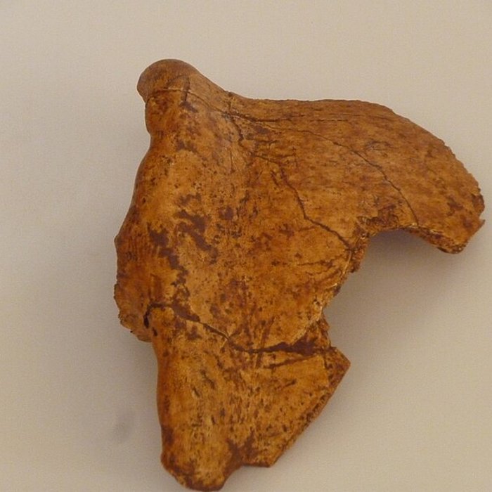 Photo de Grotte du Lazaret de Nice