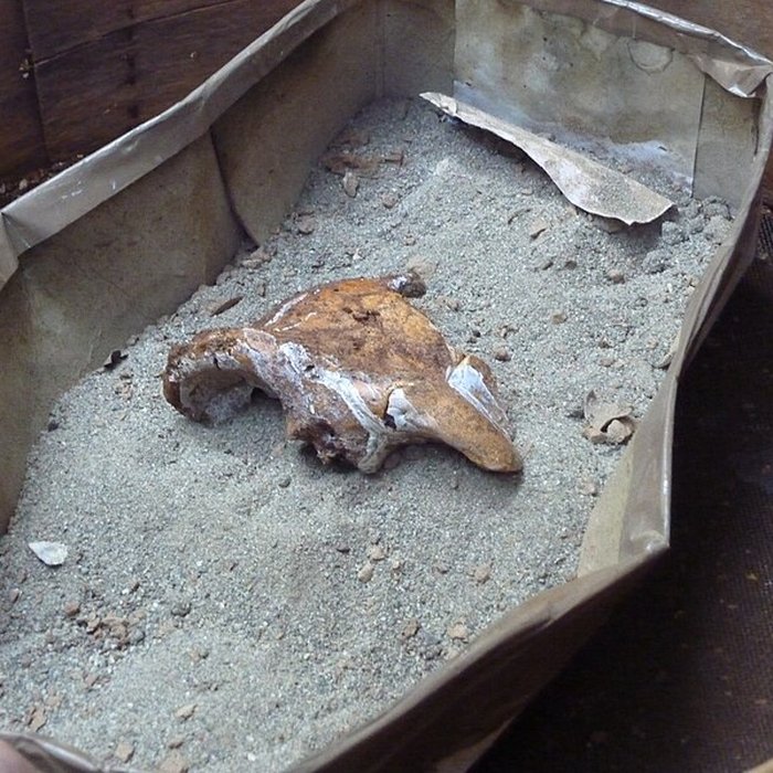 Photo de Grotte du Lazaret de Nice