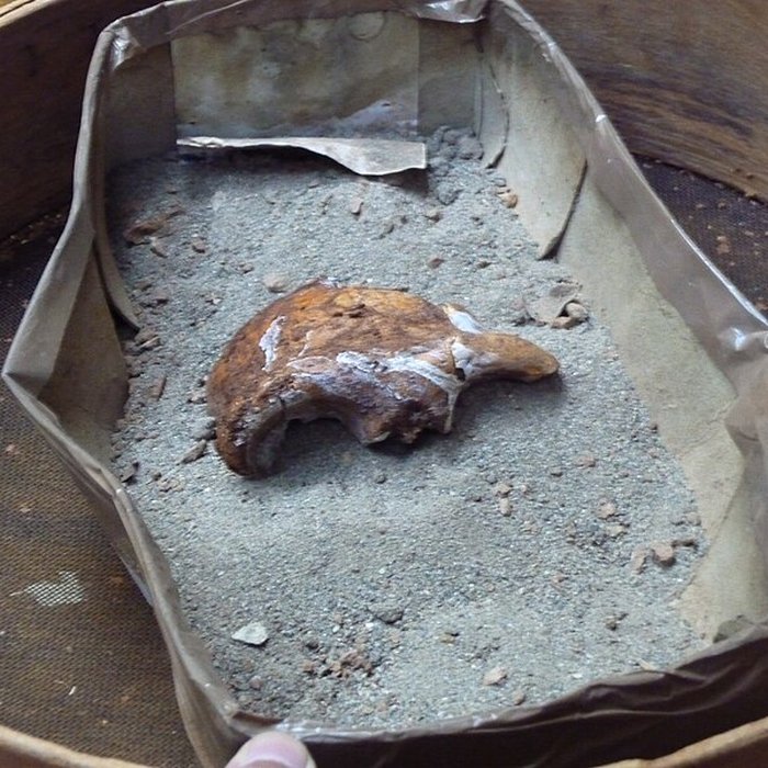 Photo de Grotte du Lazaret de Nice