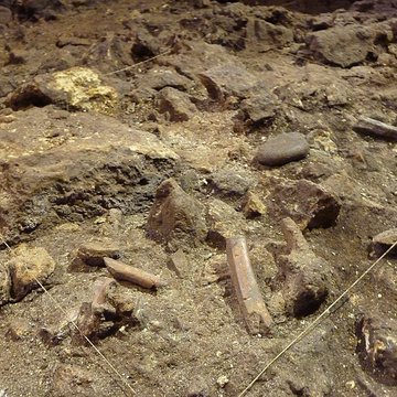 Grotte du Lazaret de Nice