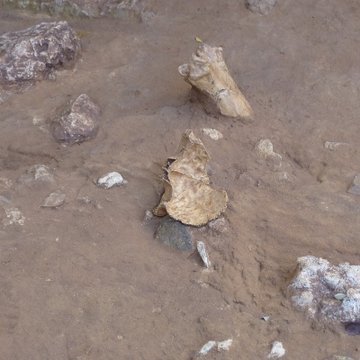 Grotte du Lazaret de Nice