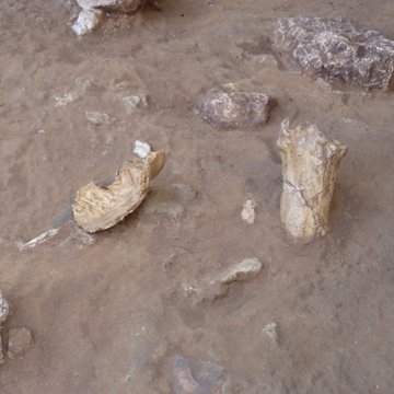 Grotte du Lazaret de Nice