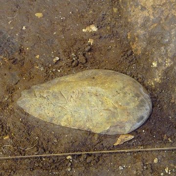 Grotte du Lazaret de Nice