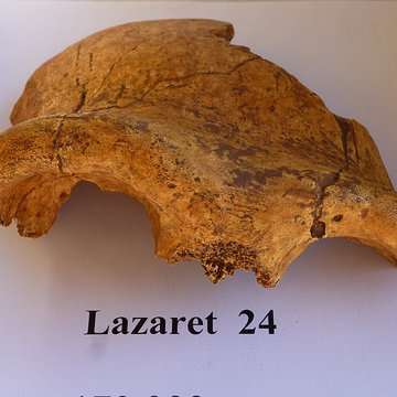 Grotte du Lazaret de Nice