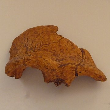 Grotte du Lazaret de Nice