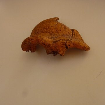 Grotte du Lazaret de Nice