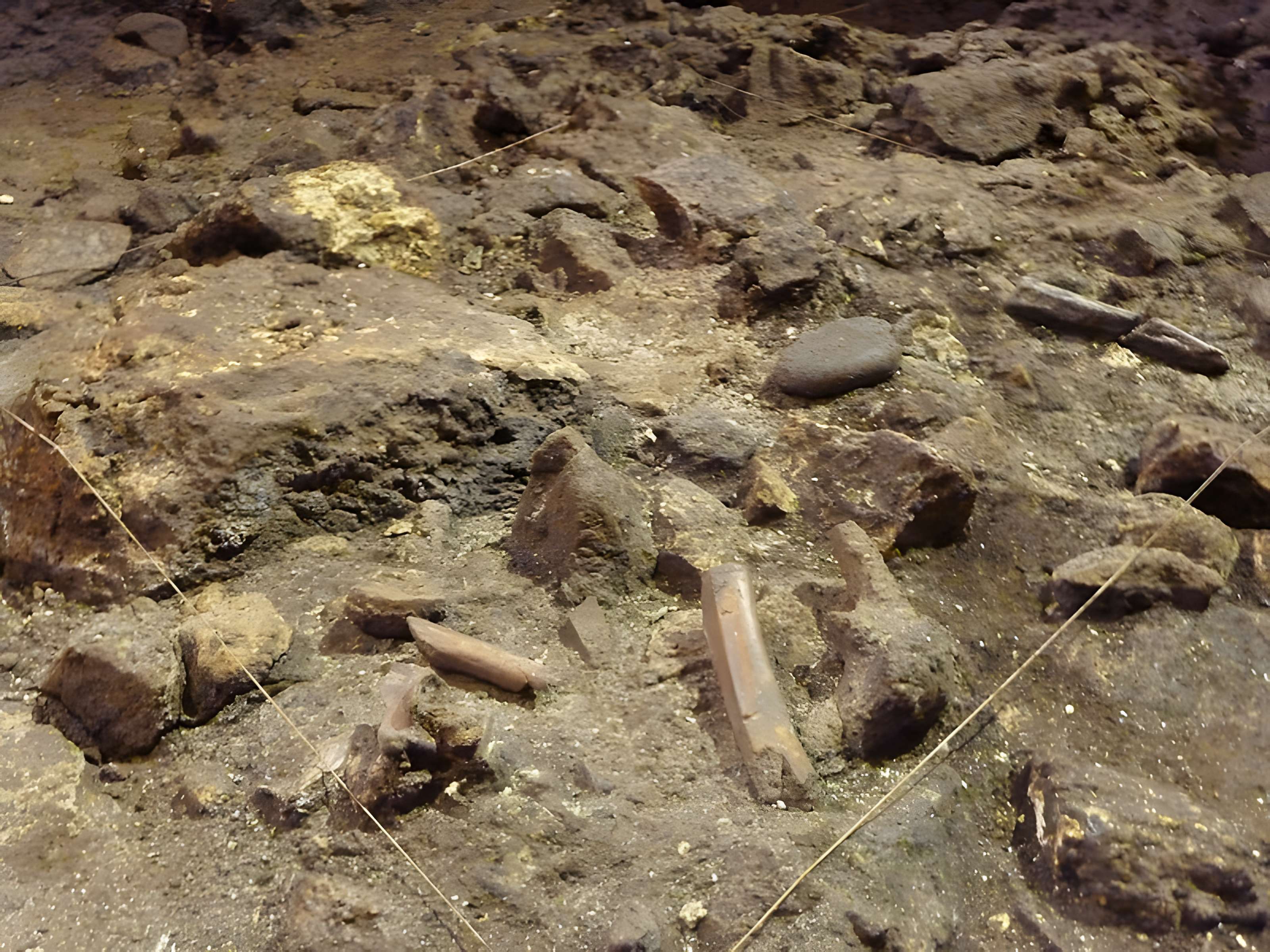 Grotte du Lazaret de Nice