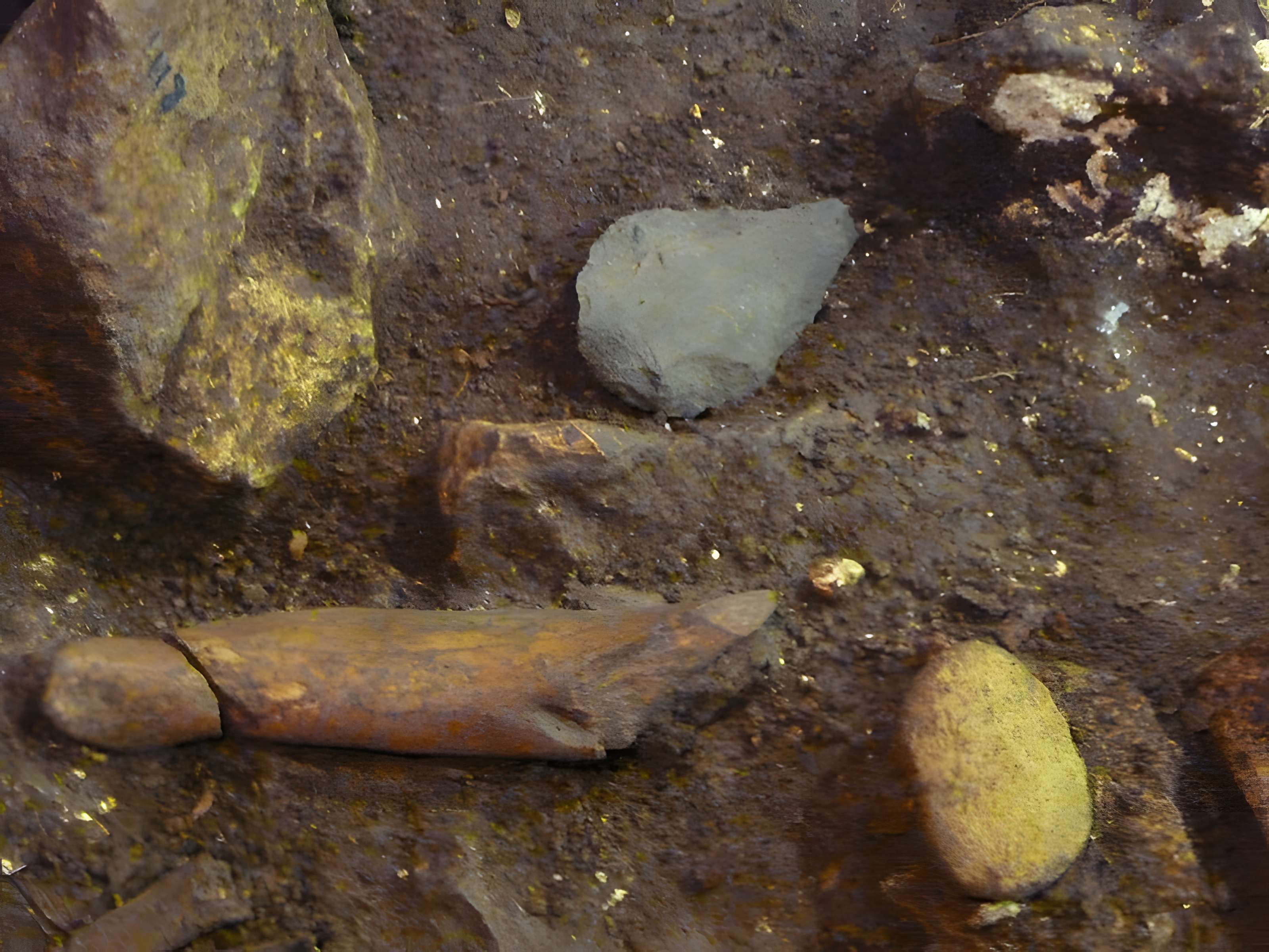 Grotte du Lazaret de Nice