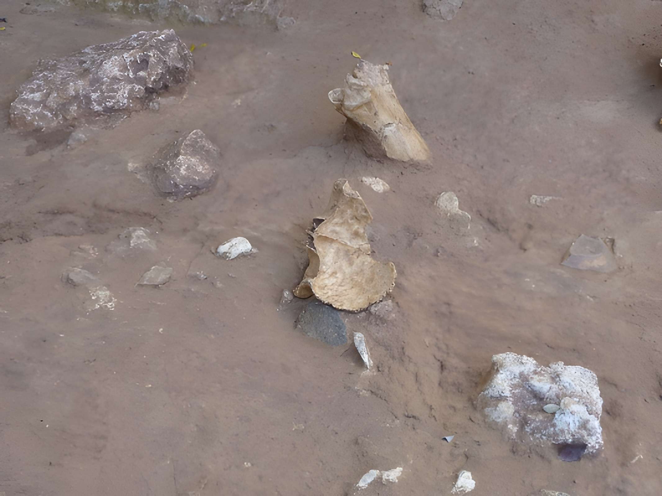 Grotte du Lazaret de Nice