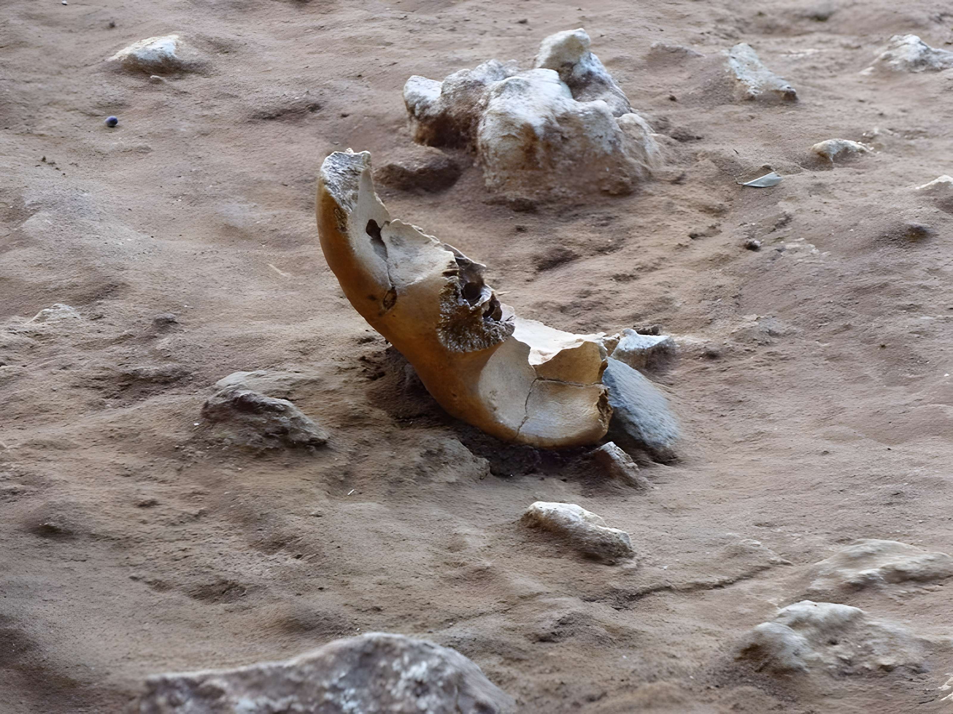 Grotte du Lazaret de Nice