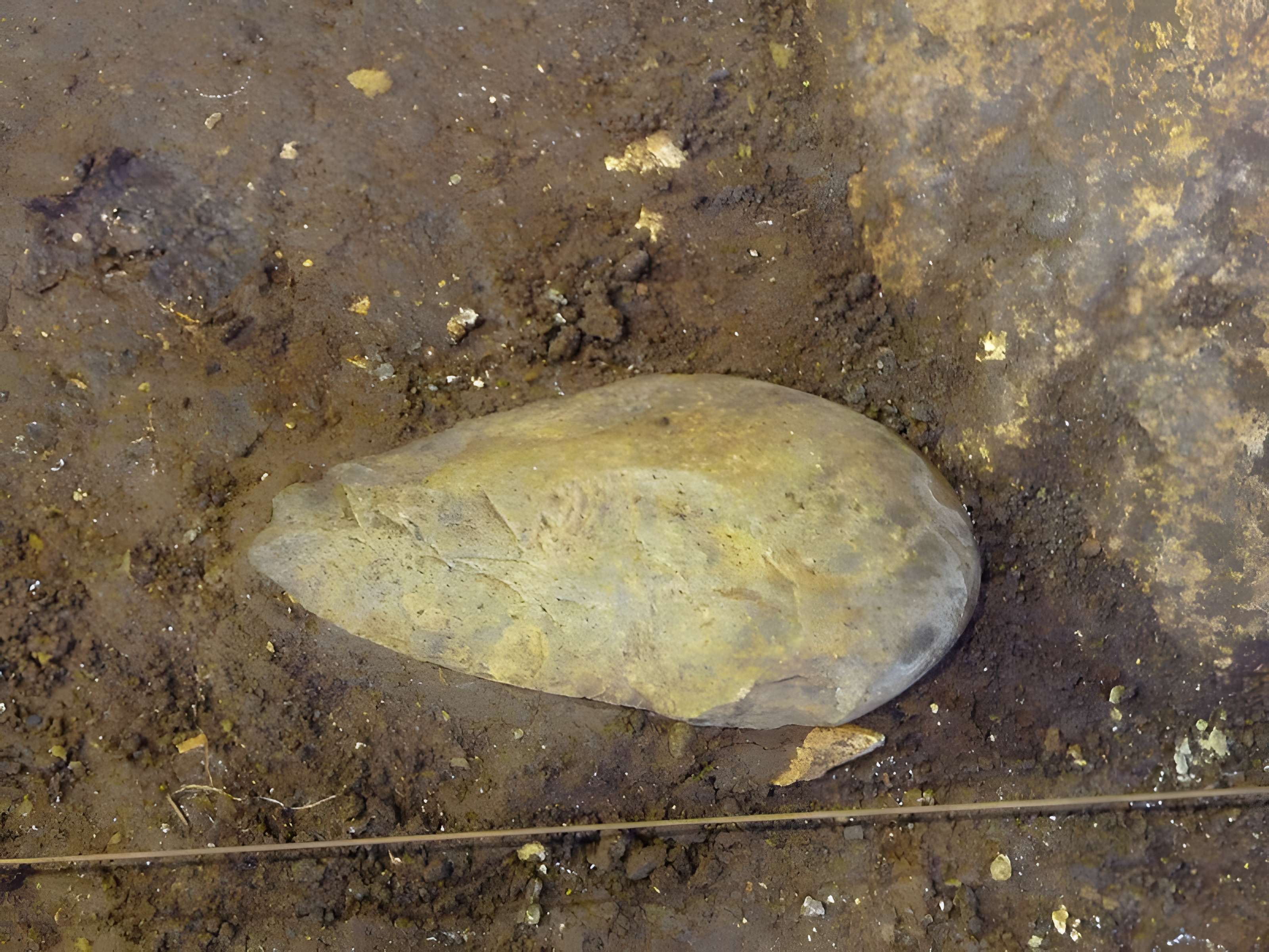 Grotte du Lazaret de Nice