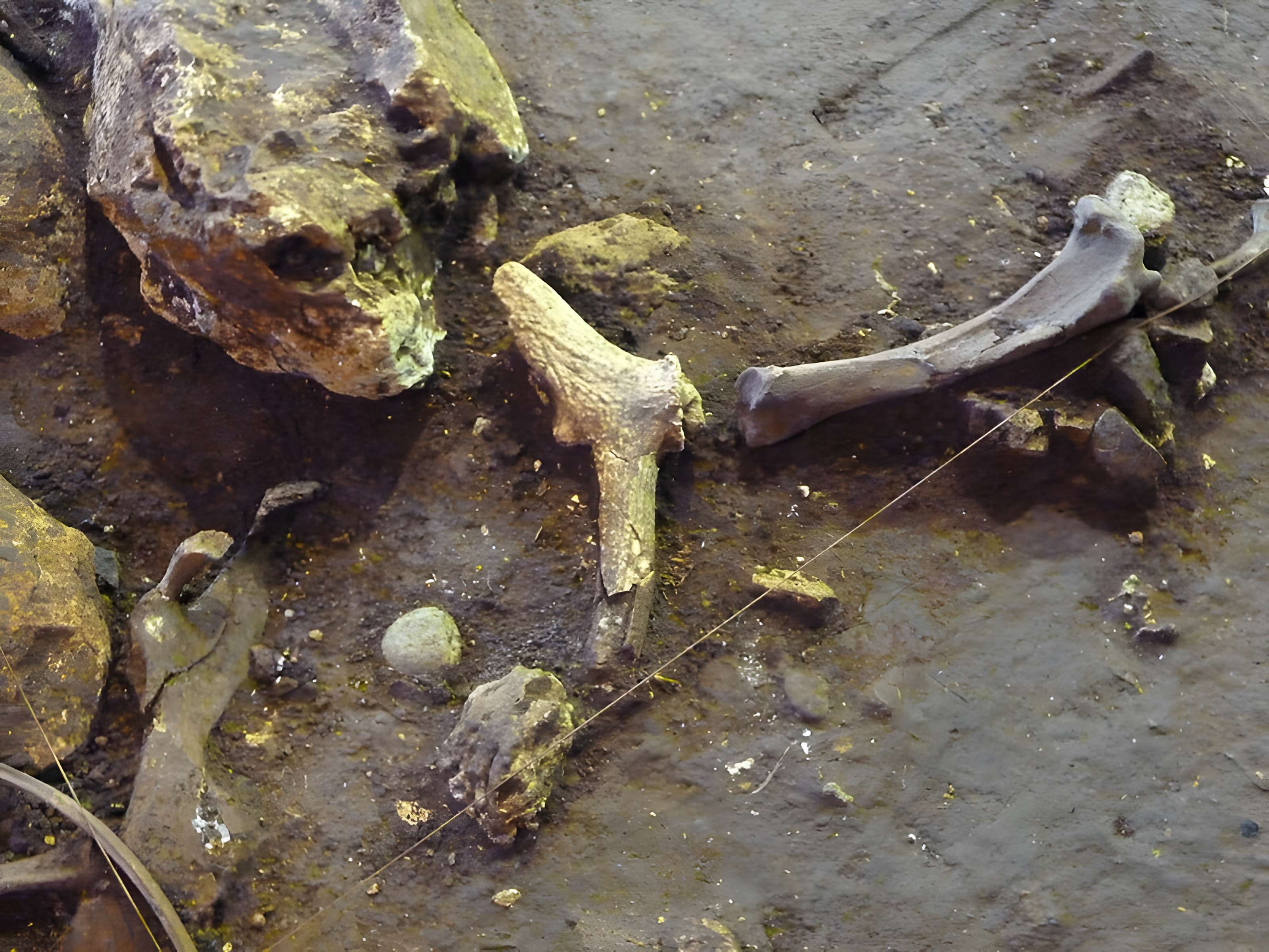 Grotte du Lazaret de Nice